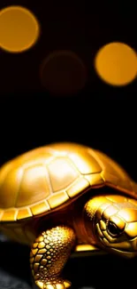 Golden tortoise with bokeh lights on a dark background wallpaper.