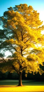 Majestic tree at dawn with golden sunlight, creating a serene and peaceful ambiance.