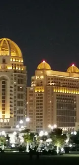 Illuminated buildings with golden domes at night.