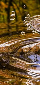 Golden brown water ripples with droplets creating artistic design.