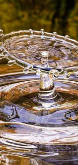 Golden water splash with ripples and clear droplets creating a serene effect.
