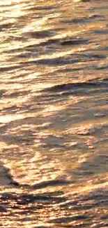 Golden waves reflecting sunlight on calm ocean surface.