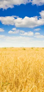 Golden wheat field under a clear blue sky with fluffy clouds.