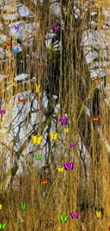 Wallpaper of a willow tree with cascading golden branches.