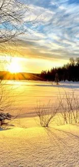 Golden sunset over snow-covered landscape with trees.