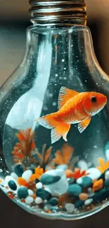 Goldfish swimming inside a lightbulb with colorful stones.