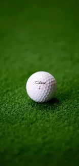 Golf ball on a lush green grass background.