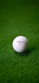 Golf ball resting on lush green grass