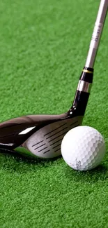 Closeup of a golf club and ball on green grass.