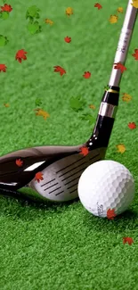 Golf club and ball on vibrant green turf wallpaper.