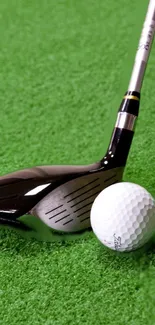 Golf club and ball on green turf wallpaper.