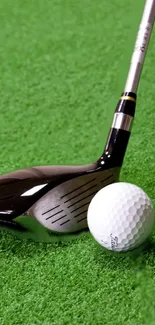 Golf club and ball on green grass wallpaper.