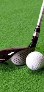 Golf club and ball on green turf background.