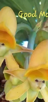 Yellow flowers with Good Morning text.