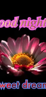 Floral good night wallpaper with sweet dreams message on black background.