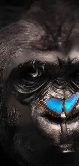 Gorilla with a blue butterfly on its nose, dark artistic wallpaper.