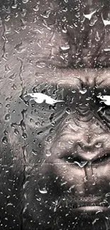 Close-up gorilla looking through rain-streaked glass.