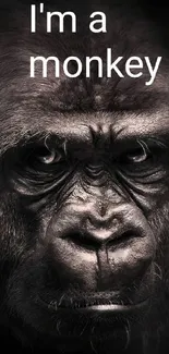 Close-up of a gorilla's face with intense expression and dark background.