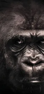 Intense dark portrait of a gorilla face, perfect for mobile wallpaper.