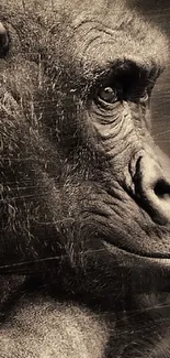 Striking sepia gorilla portrait in artistic style.