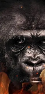 Close-up portrait of a gorilla with intense gaze on a dark background.