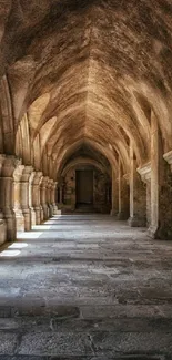 Gothic stone archway in a historic corridor.