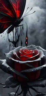 Gothic wallpaper with butterfly and red rose