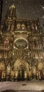 Illuminated Gothic cathedral with falling snow at night.