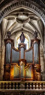 Gothic cathedral interior with organ and stone arches.