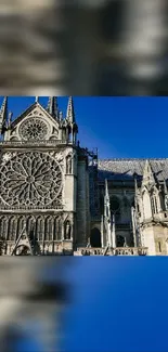 Gothic cathedral under a vibrant blue sky with intricate architectural details.