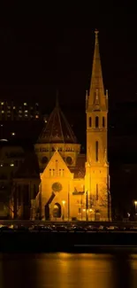 Illuminated Gothic church at night on a cityscape background.