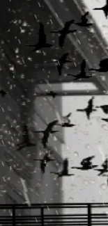 Elegant gothic woman in flowing dress with birds in the rain.