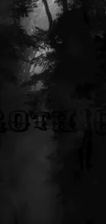 Gothic forest wallpaper with dark trees.