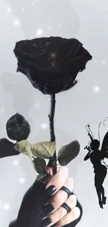 Gothic black rose held by hand with fairy silhouette.