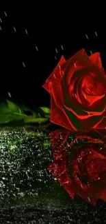 Red rose reflection on dark silver surface with gothic theme.