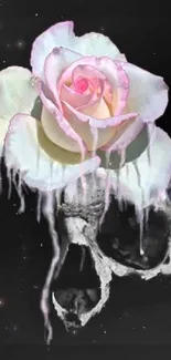 Gothic rose and skull mobile wallpaper with dark artistic elements.