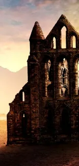 Gothic ruins silhouetted against a sunset over a sandy landscape.