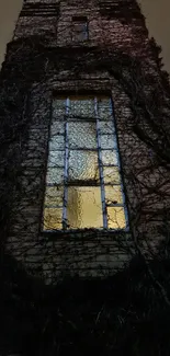 Gothic building with window and ivy in the dark night ambiance.