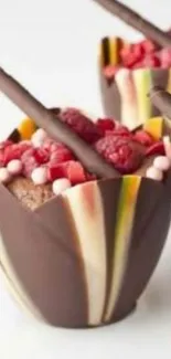 Artistic chocolate dessert with raspberry topping.