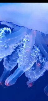 Bioluminescent jellyfish with glowing tentacles in a blue ocean background.