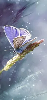 A lavender butterfly rests on a grass blade.