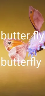 Butterfly perched on a purple flower against a golden background.