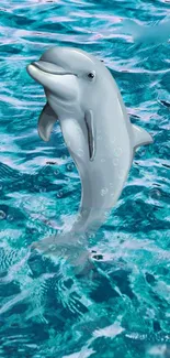 Playful dolphin jumping in clear, vibrant ocean waters, creating a serene mobile wallpaper.