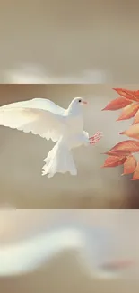 White dove surrounded by autumn leaves in a peaceful setting.