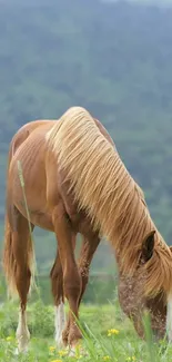 A chestnut horse grazes in a green meadow with mountains in the background.