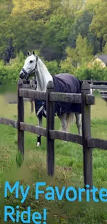 Wallpaper of a horse in a green pasture with wooden fence and trees.