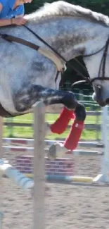 Horse in mid-jump with rider in a vibrant outdoor setting.