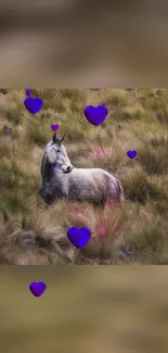 Horse standing in a field with purple hearts.