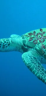 Sea turtle with a unique design swimming in a turquoise ocean.