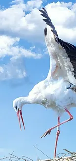 Stork standing on nest against blue sky.